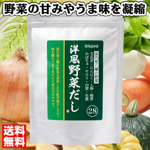 の 洋風 素 だし