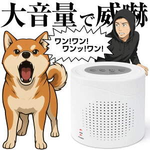 yԌ|Cg5{z 剹 120db h ZT[ A[ Ԍ  i i   Њd TC ľm ̌m lZT[ [_[ dgZT[ Rt 2WAY 