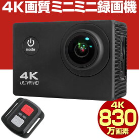 【期間限定 最大1500円OFFクーポン】 防犯カメラ 4K 830万画素 工事不要 電池式 充電式 バッテリー インターネット不要 170度魚眼レンズ 超広角 小型 カメラ 監視カメラ 家庭用 SDカード 録画 SDカード録画 SD録画 上書き 屋内 屋外 駐車場 車上荒らし