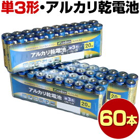 防災 防災対策 単三電池 60本 アルカリ 単三 単3 電池 乾電池 20本入り 3パック あわせ買い まとめ買い おすすめ 備蓄 防災 防災グッズ 長持ち 送料無料
