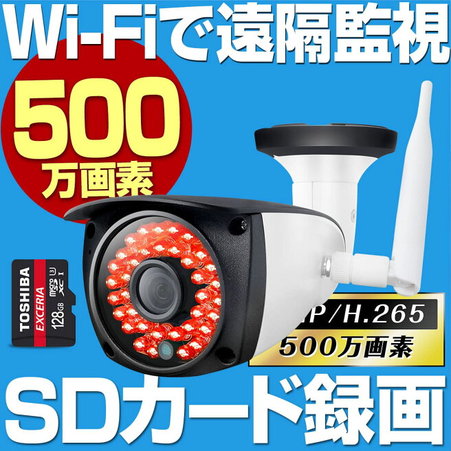 楽天市場 | 防犯カメラ専門店 グッドアイズ - 空き巣、いたずら、車上 
