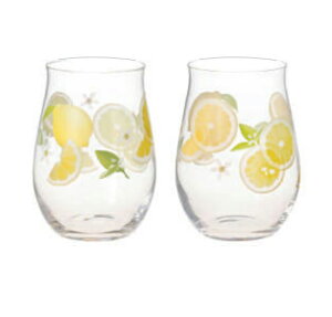 mX؃KX yAt[OXijG104-T310