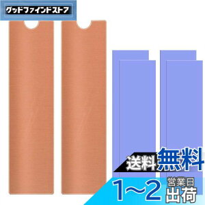 yzbvgbvpM.2 2280mm SSDq[gVN (2Zbg)