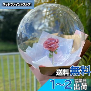 yLEISURE CLUBz10 L o[ NA{{{o[ ANAo[ NAo[ o[t[ u[P ԑ PVCo[ D ȕD ebNXD Zbg 炫