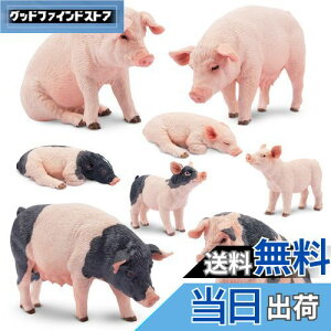 yzTOYMANY 8PCS_ꓮtBMA u^tBMAZbg tBMA ؃f eq Aȓ͌^ lC  ߋ av[g NX}X VN 蕨 RN