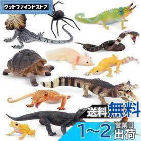 TOYMANY 12PCS野生動物フィギュアセット 冷血動物フィギュア 爬虫類 動物玩具モデル リアルな動物模型おもちゃ クモ ヤモリ カエル 誕生日プレゼント 飾り物 クリスマス 新年 コレクション 6歳以上