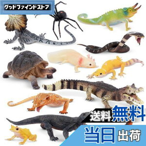 yzTOYMANY 12PCS쐶tBMAZbg ⌌tBMA ঒ ߋf Aȓ͌^ N  JG av[g 蕨 NX}X VN R