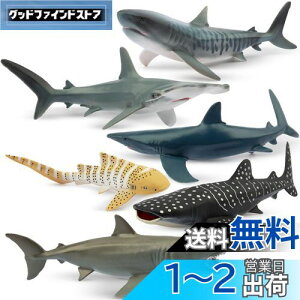 yzTOYMANY tBMA 6PCSTtBMA CmtBMAZbg 12cm`14cm   C̐ Aȓ͌^ TD lC  ߋ av[g N