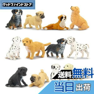 yzTOYMANY 12PCS~jtBMA ~jtBMA tBMAZbg f Aȓ͌^  lC ߋ av[g NX}X VN 蕨 RN