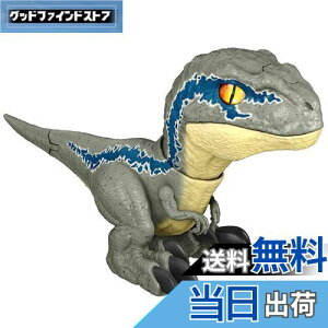 yz}e WVbN[h VȂxz \Ixr[Ex[^ GWY55