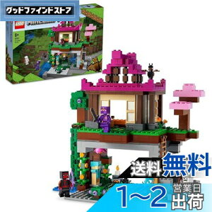 yzS(LEGO) }CNtg P 21183  ubN v[g erQ[   j̎q ̎q 8Έȏ