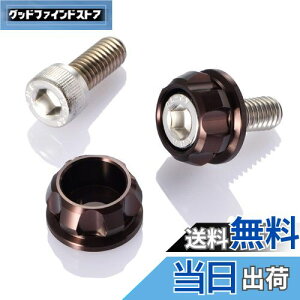 yzfCgi(Daytona) PREMIUM ZONE(v~A][) oCNp io[v[g {g M6×15mm z_[Zbg 2 uY 91954