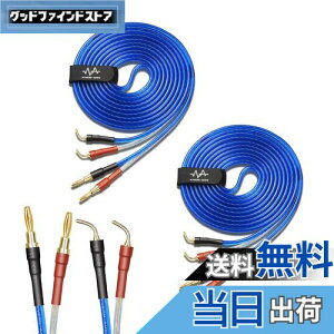 yzyoinz 2{1g LRZbg yoiivOHρz by yWYVERN AUDIOz 24kbL vO Xs[J[ P[u in_ς By WYVERN AUDIO (oiivO̐jvO / 