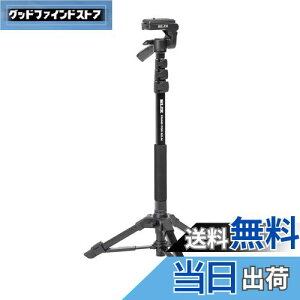 yzSLIK rȈՎOr X^h|bhGX-N 4io[bN 3EFC_ NCbNV[ 217122 ubN