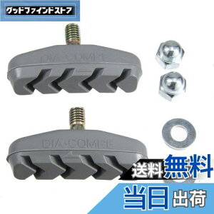 yzuaXg(BRIDGESTONE) VKCu[Lpu[LV[ 4892145