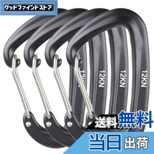 yzAzarxis bNJri ω׏d 12KN(1200kg) oRt A~ Jri DO bLO L[O Eh~ y @\ nbN Lv AEghA