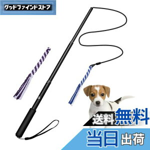 yzpފƂ [v   hM[} Pp p ފƌ^ OߐLkł 2pt 3`5Jɔzς