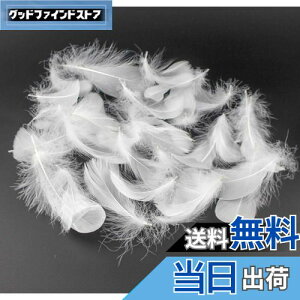 yzKingsie VR H 100Zbg tFU[V[ HV[ |f  EGfBO o (zCg)