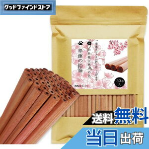 yzAdhereM VR؉M 2B Zp 50{҂ Vtg _炩KAq̊wZ̏A`Ac^AwAܕiAŵ߂̉M  (SȂE50{)