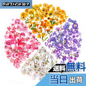 yzYOVOY 164 R[W f V[ ԃV[Zbg t[NV[ XebJ[ e    A 蒠fރXebJ[ KXrƉ