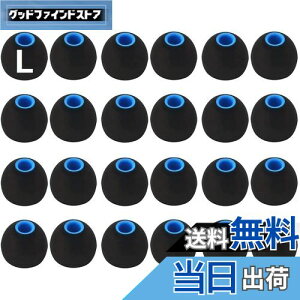 【送料無料】A-Pcas イヤーピース 2種類硬度のシリコンの組み合わせたハイブリッドイヤーピース Lサイズ24個入り 遮音性 重低音強化 Sony用 1000xm5用 1000xm4用 内径ダイヤ約3.8mm〜4.5mmカナル型イ