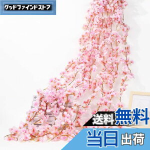 yzsiawadeky  K[h  ͂Ȃ 4{ 135/{ lHϗtA ԗ ʐ^  v|[Y p[eB[  lHǊ| ݂艺 fR[V o