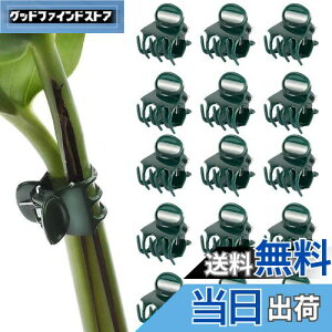 yzPAVIKE m ApNbv 50 AxNbv |Nbv ڂ؃Nbv xUNbv ϋv ͔| ėp\ K[fK[fc[ |֗Nbv |