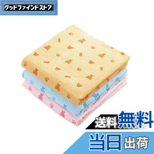 yzKosugizen oX^I poX^I N} 3Fe1 60×120cm ₷^Cv ܂Ƃ߂Ă 3Zbg ST-5808-3