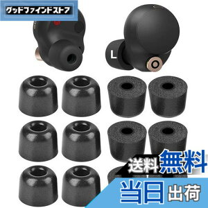 �y���������zA-Pcas �C���[�s�[�X SONY�p WF�]1000xm5�p WF�]1000xm4�p �ᔽ���C���[�s�[�X �E���^�����C���[�s�[�X �L���t�H�[���C���[�`�b�v Fit in the Case �m�C�Y�A�C�\���[�V�����C���[�s�[�X �t