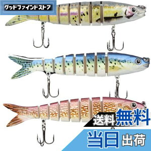 【送料無料】ハピーライフ(HPLIFE) ビッグベイト ルアー ジグ 3本セット スローシンキング 海 川釣り 遠投 バス釣り バスベイト シーバス ナマズ ライザー フカ ビックベイト ケース付き (HS014-G