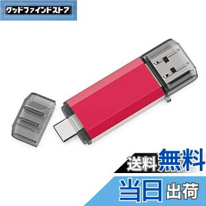 【送料無料】RAOYI TypeC USBメモリ 128GB USB3.0 タイプCフラッシュドライブ 2in1 高速デュアルフラッシュディスク(TypeC+USB3.0)OTG キャップ式 (赤)