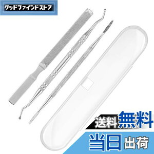 【送料無料】爪垢取り 爪やすり 爪リフター 3本セット ケース付き ステンレス製 爪垢とり 足の爪 爪ケア 巻き爪 厚い爪 ネイルケア