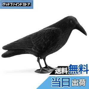 yzNavaris JX u 悯 ރObY - 悯ObY JX悯ObY Nh XY Q΍ - K[fjO C eAG