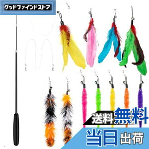 yz14 _Zbg L ColiChili L炵 VR Ĥ pH11 _t pނ莅2 ԂԂ ybgObY ˂pi