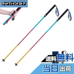 yzTRIWONDER gCjOp|[ 2{Zbg ܂肽ݎ y g|[ gbLO|[ oRXgbN EH[LO|[ mfBbNEH[LO (J