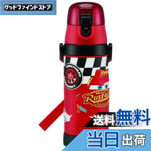 yzXP[^[(skater) qp XeX   480ml J[Y qɗDyʃ^Cv j̎q ۗp fBYj[ 3D̃vgwaterbottle X|[c{g 킢 LbY q