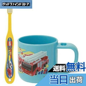 yzXP[^[ (skater) uVZbg uV Zbg X^ht Rbv 3-5ˉp g~J 19 180ml 14.5cm KTB5