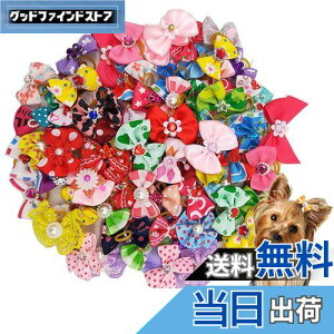 yzKingsie p{ wAoh 20_Zbg ybgp Jt  wAS wAANZT[  A\[g