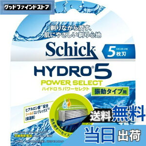 yzVbN Schick 5n nCh5 p[ZNg ֐n (4R) E J~\