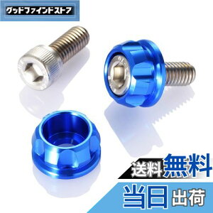 yzfCgi(Daytona) PREMIUM ZONE(v~A][) oCNp io[v[g {g M6×15mm z_[Zbg 2 u[ 91946