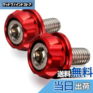 yzfCgi(Daytona) PREMIUM ZONE(v~A][) oCNp io[v[g {g M6×15mm z_[Zbg 2 bh 91945