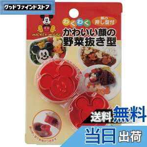 yzXP[^[(Skater) ؔ^ { fBYj[ ~bL[}EX LKVN1-A