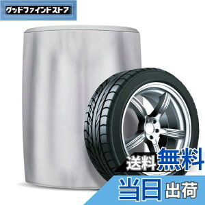 yzARADEN ( Af ) ^CJo[ yԃ^Cv [ STCY ] TA-S Vo[