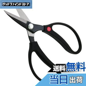 yzߗ^(KONYO) K[ftY ₷A \tgnh