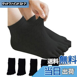 yz[InSomila] [C\~] 5{w\bNX qp ėpC XN[\bNX C bV ̎q j̎q LbY \bNX n 5Zbg  C q  ʊwp \b