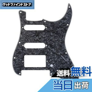 yzMusiclily Pro 11 HSS STXggsbNK[h American/LVRFender StratXggLX^[GLM^[ Floyd RoseubWJbgpA4vCubNp[