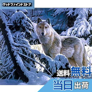 【送料無料】DIYクロスステッチキットダイヤモンド絵画5D塗装キット、冬の雪狼WOWDECORフルドリルDIYダイヤモンドアートペイント数字油絵 (狼)