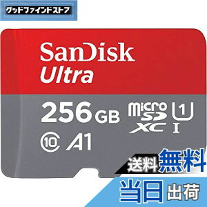 【送料無料】SanDisk SDSQUA4-256G-GN6MN 海外リテール アダプター無