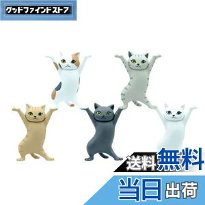 yzMRZJ JKRLyz_[lR̃y S5Zbggyz_[ (5PCS)