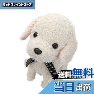 yzZKgCY(SEGA TOYS) RR  N[